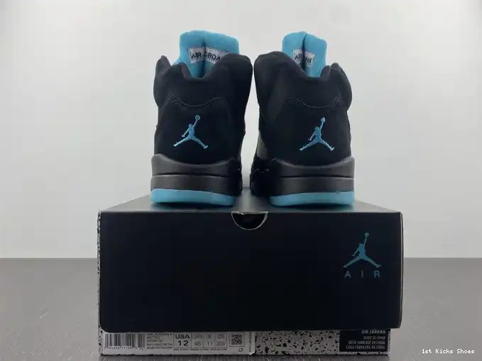 1st Kicks 5 Jordan Air DD0587-047 Aqua 0601